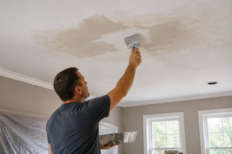 Attic Water Damage Repair in Charleston, SC