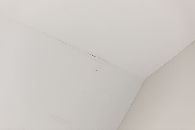 Leaking Ceiling Repair in Denver County, CO